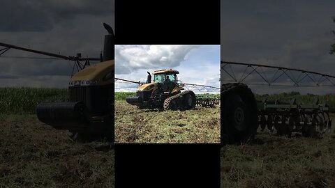 Big Tractor - Clown Horn | In the Field #tractor