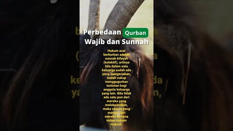 Perbedaan Qurban Wajib dan Sunnah #shorts #qurban