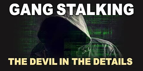 Ever hear of the term "GANG STALKING" before? Targeted Individuals in the news
