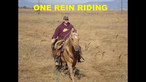 The Importance Of Riding A Horse With Only One Rein - Much More Control