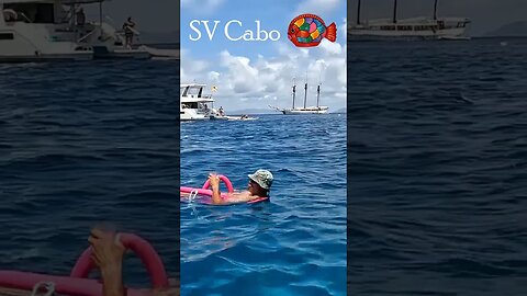 Chill & Relax-Sailing SV Cabo #short