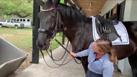 Equestrian Center in Seffner offers peaceful and spiritual escape