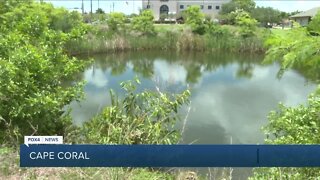 Mast Canal neighbors continue fight against proposed Cape Coral car wash