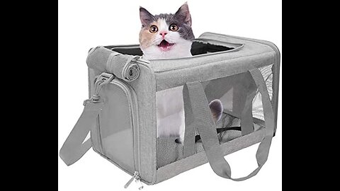 VIEFIN Cat Carriers Dog Carrier Pet Carrier for Small Medium Cats Dogs Puppies of 15 Lbs, TSA A...