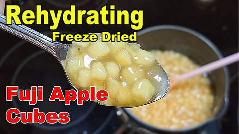 Rehydrating a Sample of Freeze Dried Apple Cubes