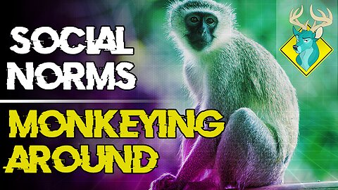 TL;DR - Social Norms: Monkeying Around [15/Oct/19]