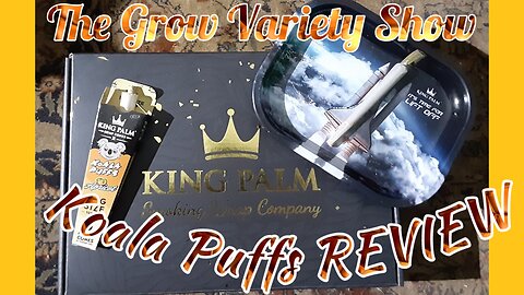 King Palm Koala Puff cones Review