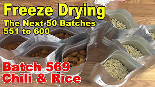 Freeze Drying - The Next 50 Batches - Batch 569 - Chili and Rice