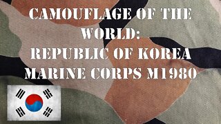 Camouflage Of The World: Republic of Korea Marine Corps M1980