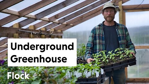 UNDERGROUND GREENHOUSE Update — Ep. 186