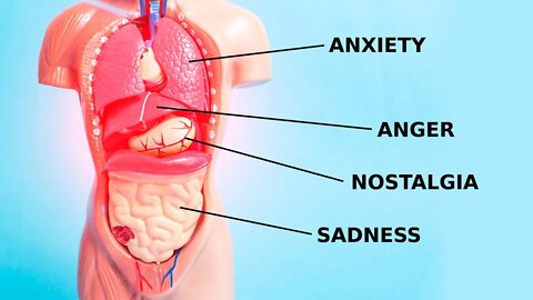 How Emotions and Organs Are Connected in Chinese Medicine