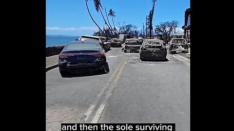 LAHAINA MAUI FIRES GEOFFCYGNUS THINGS THAT DID NOT BURN DURING THE LAHAINA FIRE