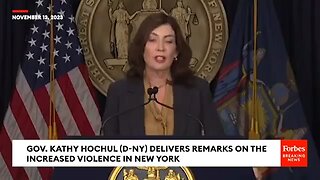 Gov. Hochul of NY is engaged in “collecting data” and surveillance to stop “hate speech” online