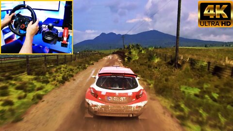 Dirt Rally 2.0 - Pegeout 208 R5 T16 Gameplay