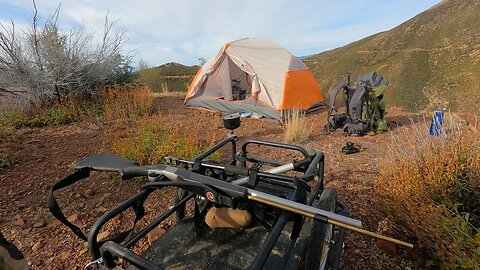 Mule Deer Hunt | Muzzleloader - CA Public Lands