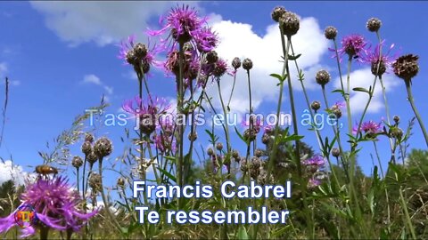 Francis Cabrel - Te ressembler - Lyrics Paroles Letra