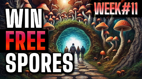Win free spores - Week 11 - Free spore syringe give away