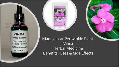 Madagascar Periwinkle plant - Vinca - Herbal Medicine - Benefits, Uses & Side Effects