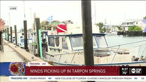 JJ Burton in Pinellas County| Winds have picked up in the Tarpon Springs area. Tarpon Springs is known for their sea sponges and although it is under a mandatory evacuation order, many residents are staying to make sure their boats are safe. For many boat