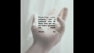 Veja o que é a humildade #diogorufati #versiculododia #reflexão #jesus #oração