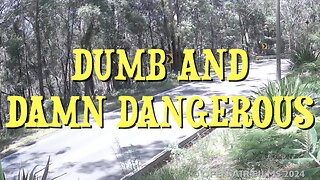 DUMB AND DAMN DANGEROUS!!