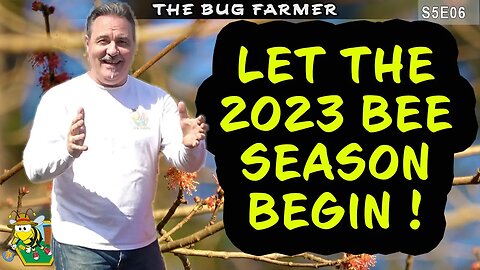 Let the FLOW Nectar Begin! | 2023 Spring Preparation and Inspections. #beekeeping #bees #prepping