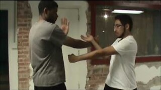 Taan Da - Taan and Punch - Wing Chun Basics