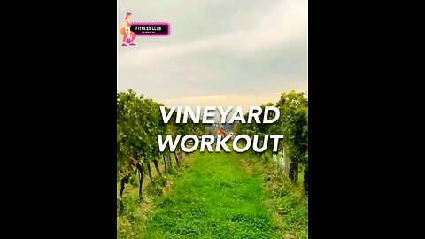Vineyard Workout | Gym Workout USA |