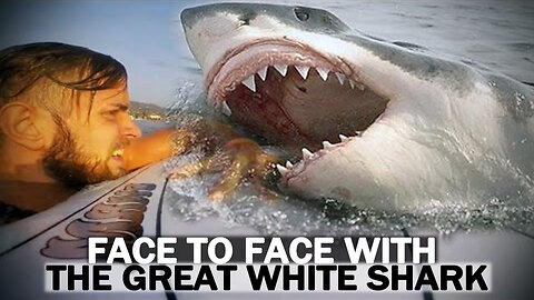 Shark Attack Caught on Video - Great White vs Surfer - Full Video - HD 1080