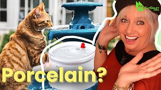 Best Cat Water Fountain? NEW HomeRunPet Reviewed By Our Cats!
