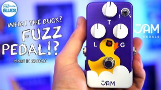 The Jam Pedals Eureka FUZZ Pedal 🐤 Don't Let the duck FOOL You!