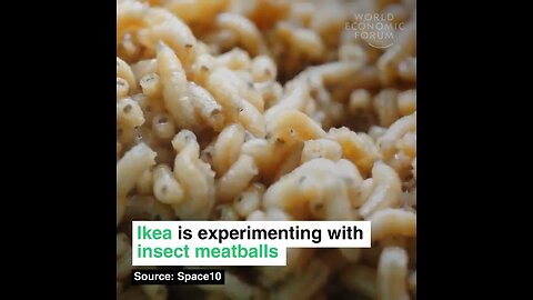 🤡🦗🐛 WEF PUSHING FOR NO MORE MEAT: IKEA IS EXPERIMENTING WITH INSECTS IN THEIR MEATBALLS 🐛🦗🤡