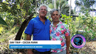 Day Trip – Cocoa Farm on the Outskirts of San Francisco de Macoris