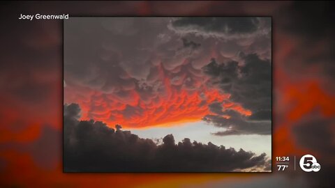 Severe weather downs trees in Wayne Co., but provides stunning skies