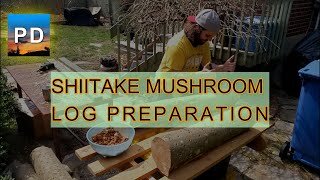 Shiitake Mushroom Log Preparation