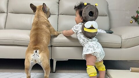 My Dogs Fall In Love With Our Baby The Full Story