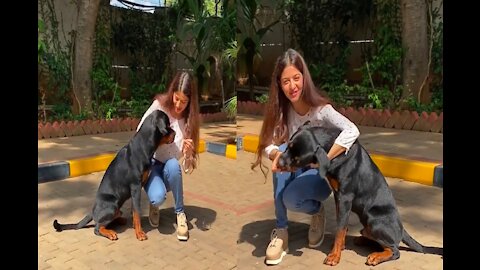 Dog Training Dog vs Girl Dog Training For Girls