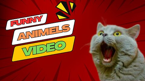 Funny Cats Video 2024 | Cats Funny | Animal Funny Video | 2024 Cats Funny
