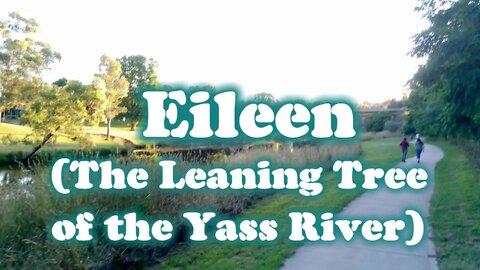 Eileen (The Leaning Tree of the Yass River)