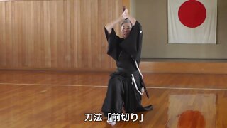 無双直伝英信流 "前切り" 比較 Muso Jikiden Eishin Ryu Front Cut Comparison