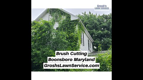 Brush Cutting Boonsboro Maryland Landscape Contractor