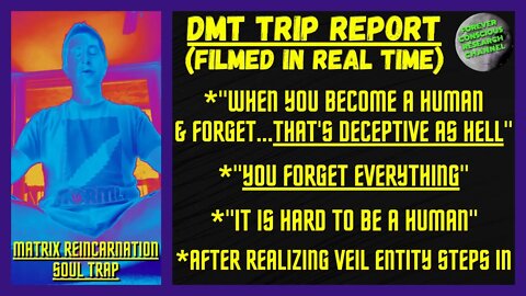 DMT Trip "When You Become Human & FORGET, That's DECEPTIVE As HeII" | Matrix Reincarnation Soul Trap