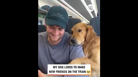 Dog🐶 has a way with making new friends🐕😍