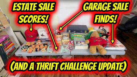 Ep. 17 - Garage Sale Finds, Estate Sale Scores, and a Thrift Challenge Update!