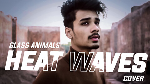 Glass Animals - Heat Waves cover song