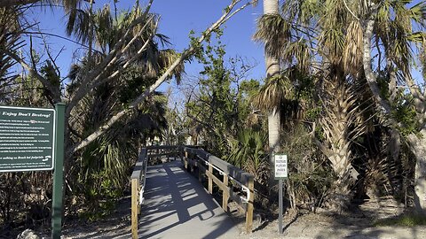 Bowman’s Beach Reopens (Widescreen) #Beach #FYP #BowmanBeach #SanibelIsland #mywalksinparadise