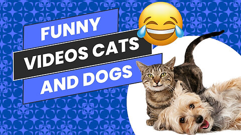 FUNNY CATS and DOGS & other ANIMALS | New Funniest Animal Videos 2024