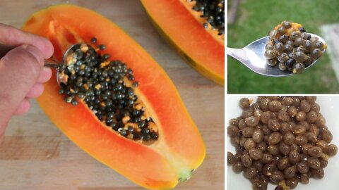 5 Surprising Health Benefits of Papaya Seeds + How to Eat It
