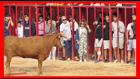 CALATORAO ( ZARAGOZA ) TARDE VACAS PLAZA ( DOMINGO 27 AGOSTO 2023 ) GANAD.ARRIAZU