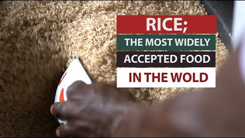 RICE;THE MOST WIDELY ACCEPTED FOOD IN THE WORLD